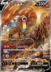Entei V s12a 213/172